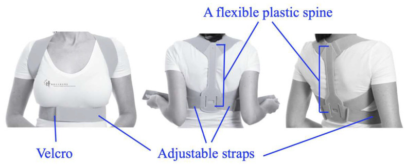 Diagram of the scapular brace used in the 2023 Healthcare study, showing Velcro, adjustable straps and a flexible plastic spine